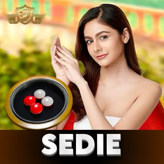 DU88 Sedie A13
