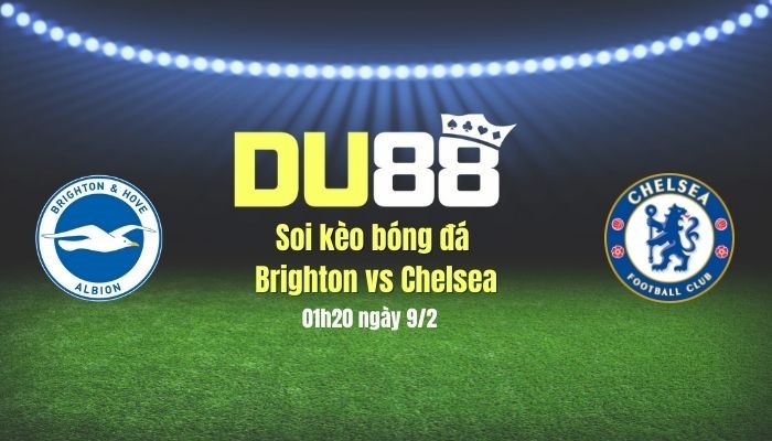 DU88 Soi kèo  bóng đá Brighton vs Chelsea, 03h00 ngày 9/2: Bắn hạ Chim mòng biển