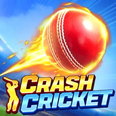 DU88 Crash Cricket
