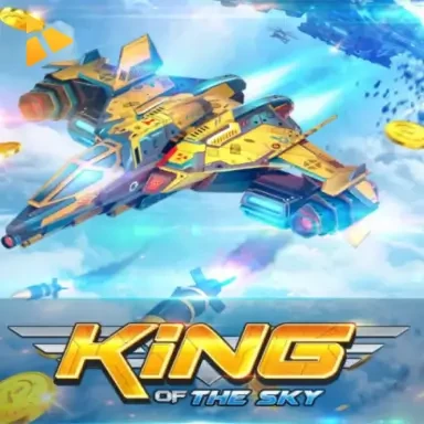 DU88 King of The Sky